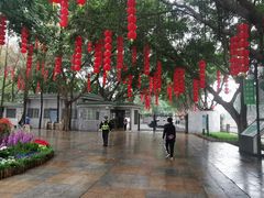 -晓港公园