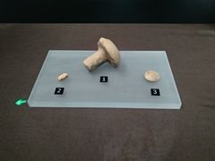 -盘龙城遗址博物院