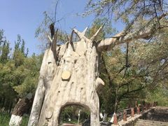 -水上乐园·欢乐世界