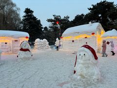 -长春市南湖公园