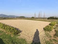 -良渚古城遗址公园