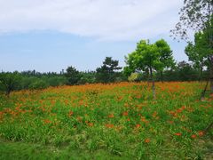 -东郊湿地公园
