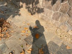 -八大关景区