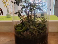 -山水茶艺馆·点心粤菜·30年老字号