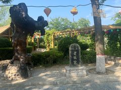 -大槐树寻根祭祖园