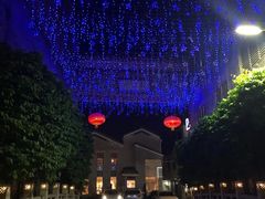 -佛山顺德香云纱园林酒店(清晖园店)