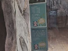 -深圳野生动物园
