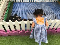 -萌宠亲子动物乐园(槐房万达店)