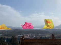 -中原大佛景区