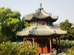 -莲池书院博物馆