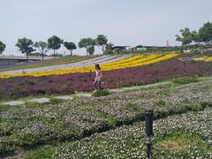 -上海杨姆庄园