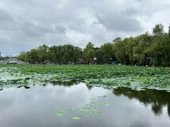 -长春市南湖公园