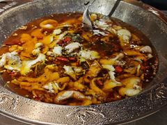 -雲蜀龙阁·金牌水煮鱼(方庄店)