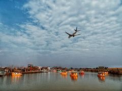 -空港花田景区