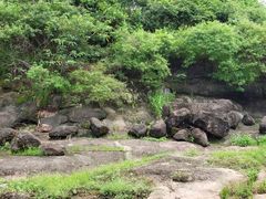 -广州七星岗古海岸遗址科学公园