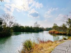 -西溪国家湿地公园