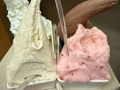 -野人先生现做冰淇淋(北京环宇荟店)