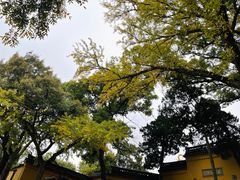 -灵岩山风景区