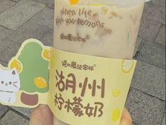 -猫的魔法密林(衣裳街店)