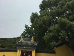 -龙寺生态园
