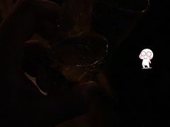 -Perry's·酒吧(打浦桥店)
