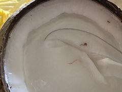 -椰爺爺·椰子冻砵仔糕