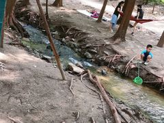 -白水寺森林公园
