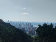 -南山植物园