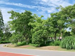 -上海长兴岛郊野公园