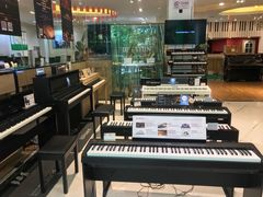 -柏斯琴行(汾阳店)