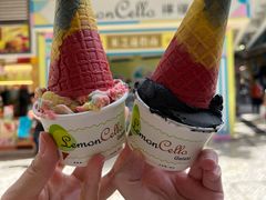 -柠檬车露(卖草地店)