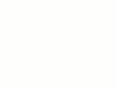 -薛记炒货(印象济南店)