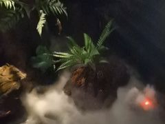 -泰之源足浴会所(玉环店)