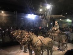 -秦始皇兵马俑博物馆-停车场