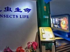 -上海昆虫博物馆