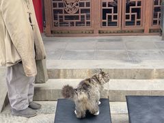 -慈恩寺
