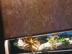 -大桶大足浴(田林路店)