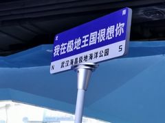 -海合安武汉极地海洋公园