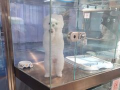 -FAELING PETS美天灵宠物(富力广场店)