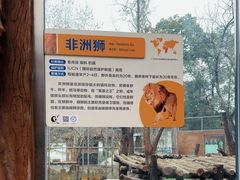 -成都动物园