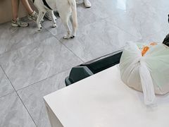 -德元·美联众合24小时动物医院(总院)