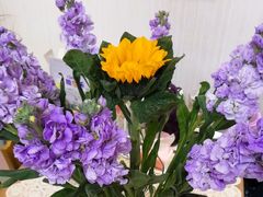 -循礼门鲜花花市(武汉循礼门店)