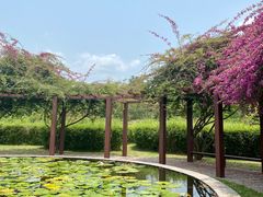 -中国科学院西双版纳热带植物园