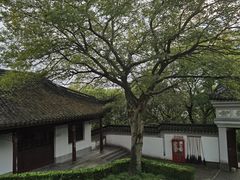 -上海佘山国家森林公园天马山园