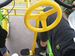 -合肥滨湖国家森林公园