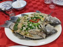 -先鲜鲫鱼粥