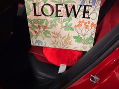 -LOEWE罗意威(北京SKP女装店(一层))