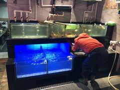 水产区-阿妹小海鲜(下角店)