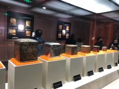 -法门文化景区