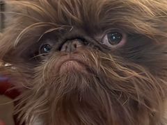 -百家园土菜馆(兴民北路店)